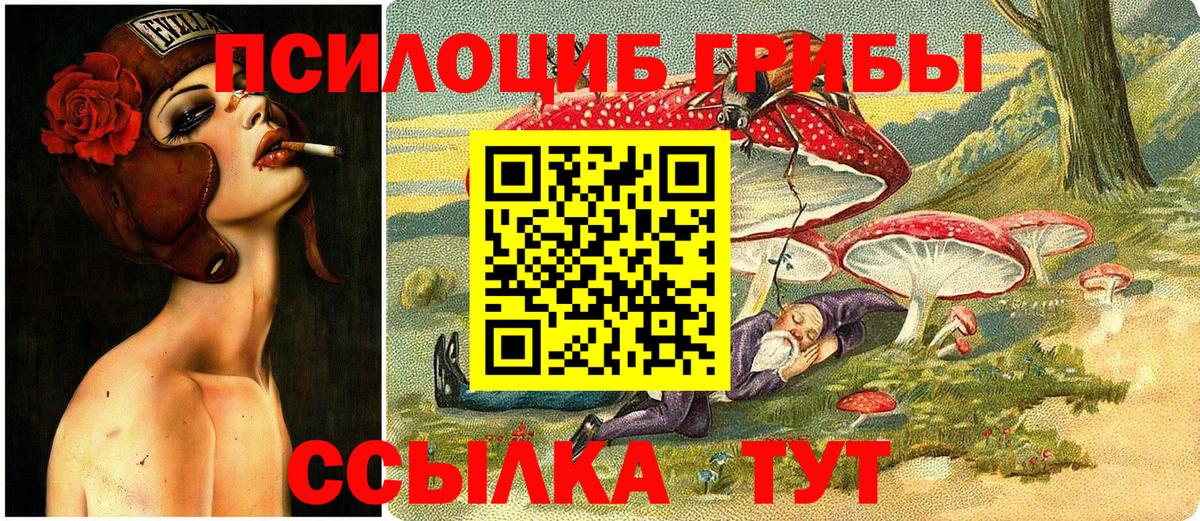 Псилоцибиновые грибы Cubensis  Вход с VPN  Курган 